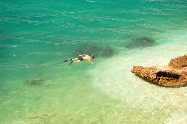 Snorkeller swimming in adriatic sea in croatia
