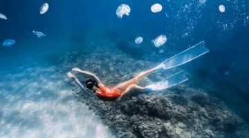 Are there jellyfish in Croatia?