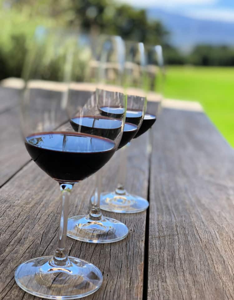 Woodinville Wine Country from Seattle