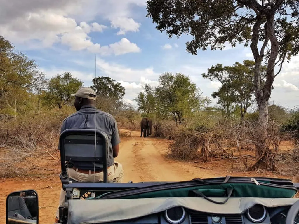 jirafa game drive safari en Africa 1024x768