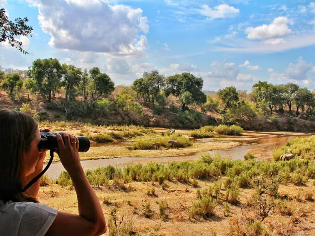 mejores safaris de Africa 1024x768
