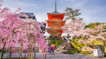Best Day trips from Kyoto by train 360x200