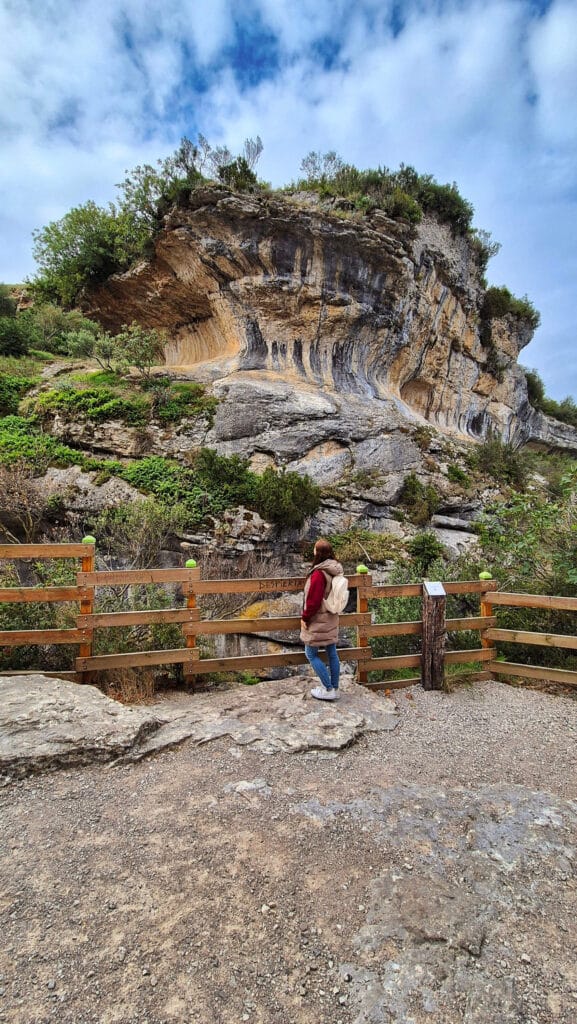 Camino Aragones Navarra 577x1024