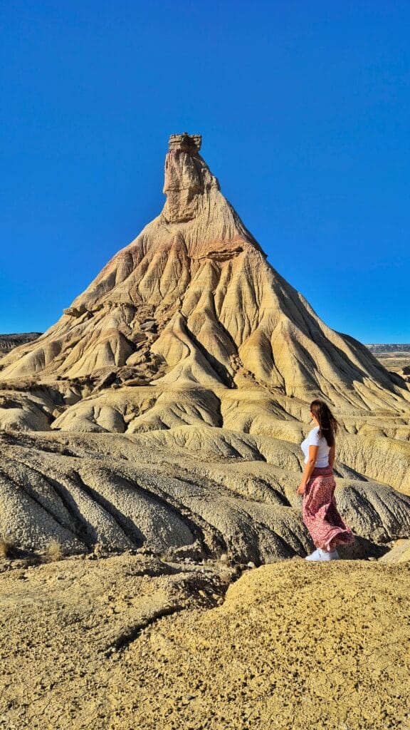 Parque Natural de las Bardenas Reales Navarra 576x1024