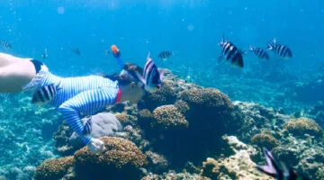 best places to snorkel in Tulum Mexico