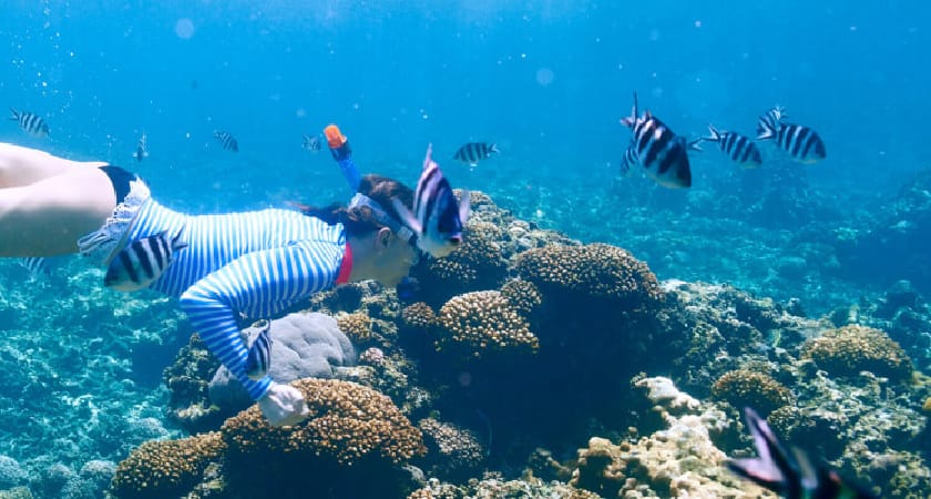 best places to snorkel in Tulum Mexico